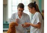 Conseils pour une alimentation animale adaptée