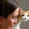 Photo d’Éloïse & Meow